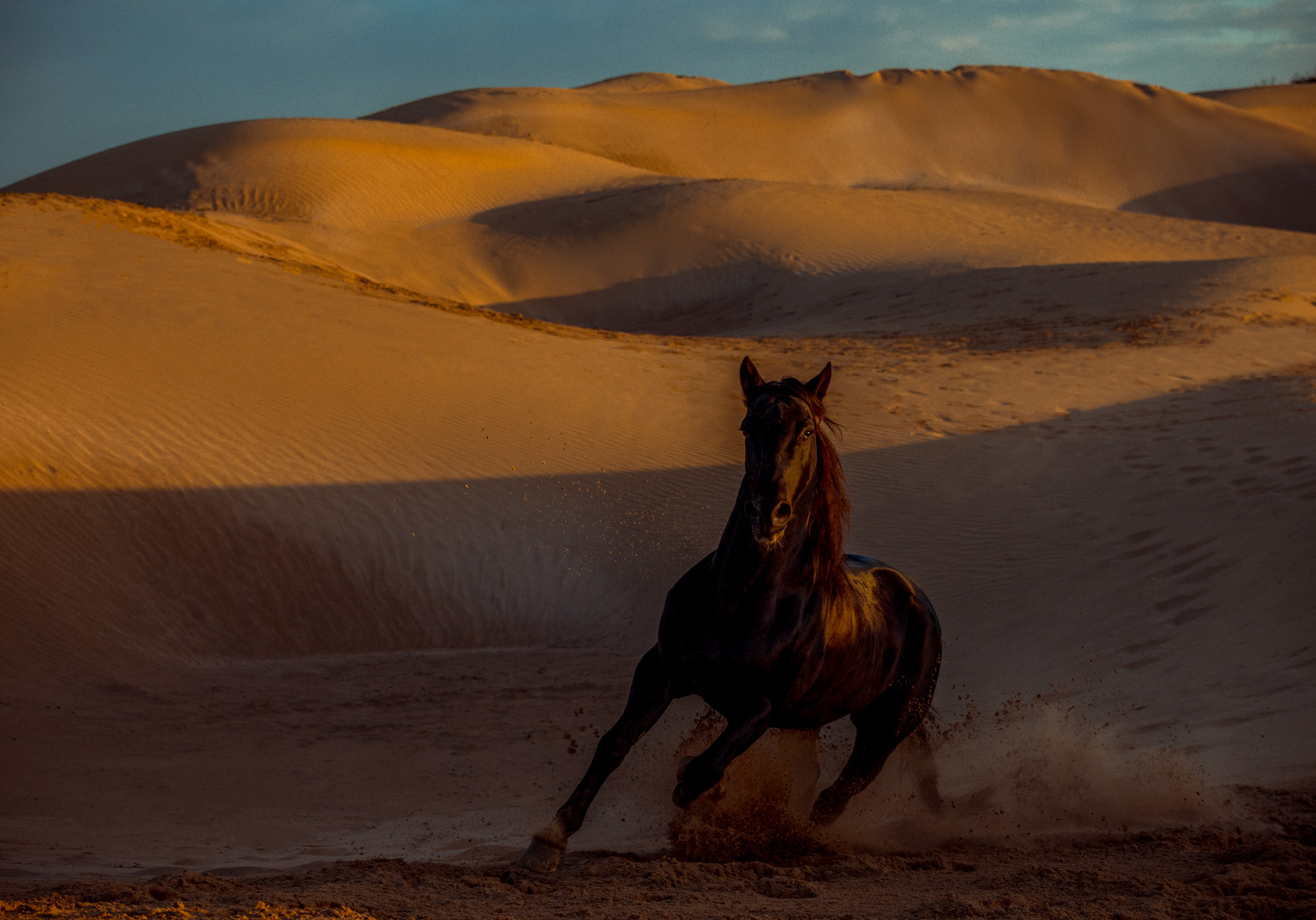MORR-WEBSITE-29
