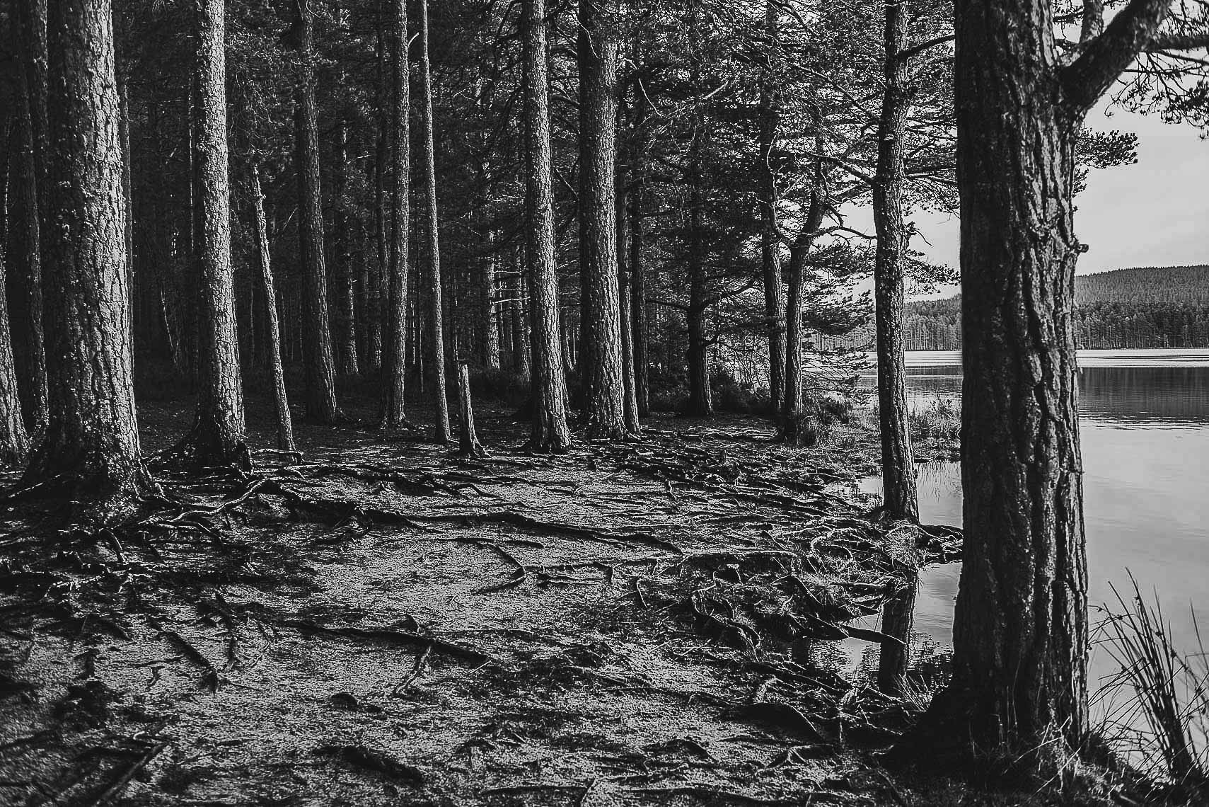 aphotoscot-12