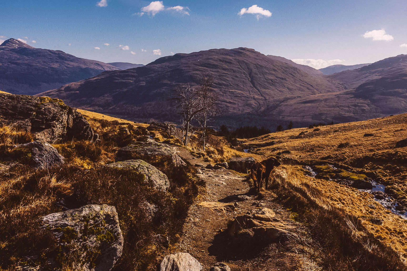 aphotoscot-5