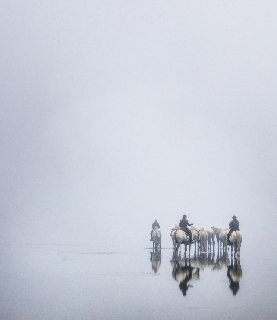 horsewatery-2