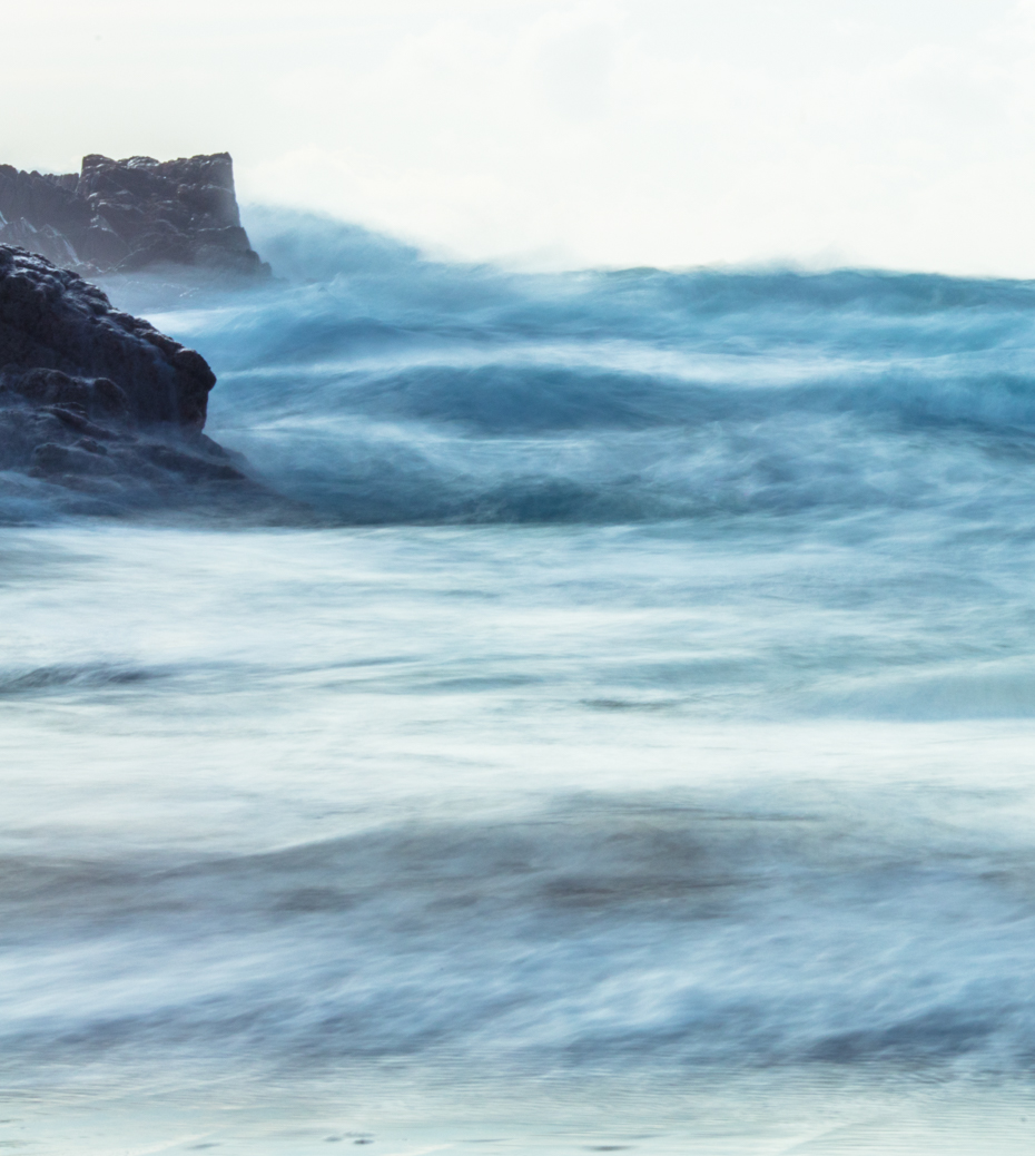 newSEAFORWEBbin-10